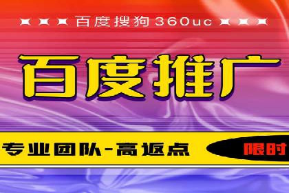谷歌竞价广告与SEO结合的营销案例解析